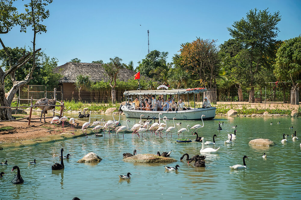 River Safari - Vinwonder Nam Hội An